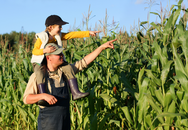 Apoio à Agricultura Familiar: Estratégias e Benefícios para o Desenvolvimento Sustentável